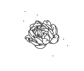 Hand drawn vector abstract stock flat graphic illustration with logo element of line flower art of peony in simple style for branding,isolated on white background.Sacred magic boho feminine concept