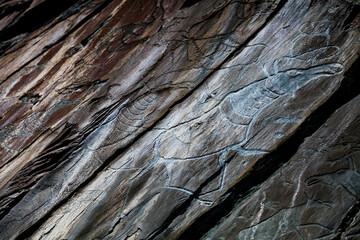 Petroglyph Tomsk pisanitsa. Rock paintings from bank of Tom River, Russia