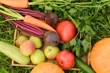 fresh vegetables and fruits, carrots, apples, beets, zucchini, eggplant, tomato, pumpkin,