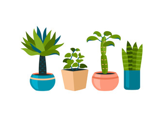 Decorative home plants in pots. Green miniature palms with curly bushes. Colorful interior for the apartment and garden. Designer natural accessories for fashion ornament. Vector flat illustration