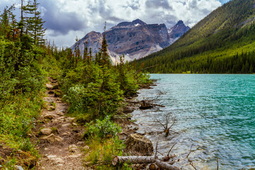 Hiking trail in the  Rocky Mountains. A narrow and wetland trail leading along Sherbrooke lake.  Yoho National Park, British Columbia, Canada