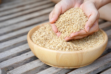 Raw oats from the in woman hands with a full bowl of oats below. The concept of a healthy lifestyle.
