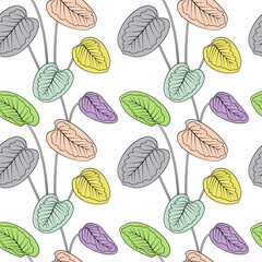Tropical colorful calathea leaves black outline drawing seamless pattern. White background. Jungle foliage line art texture. Stock vector illustration.