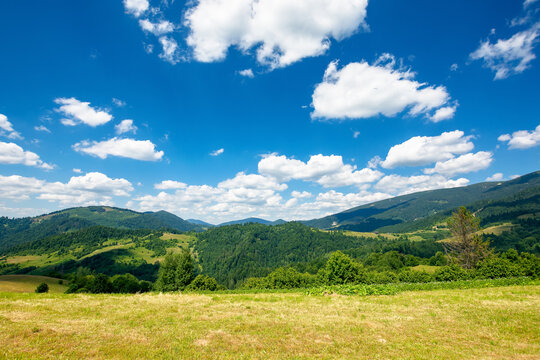 rural field in mountains. beautiful nature landscape. sunny summer day. clouds on the sky. travel back country concept