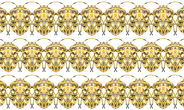 Seamless pattern with detailed illustrations of beetle insects on a white background in horizontal repeat.