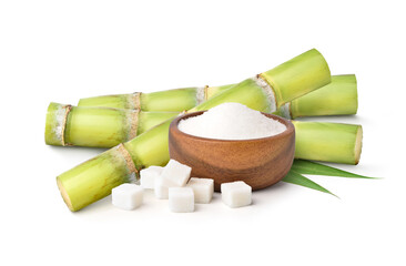 White sugar with fresh sugar cane on white background.