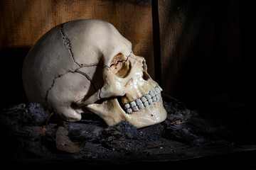 skull on a pile of dirt and dust against the background of old walls made of hewn boards in a beam of light