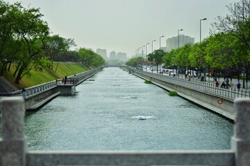 bridge over the river