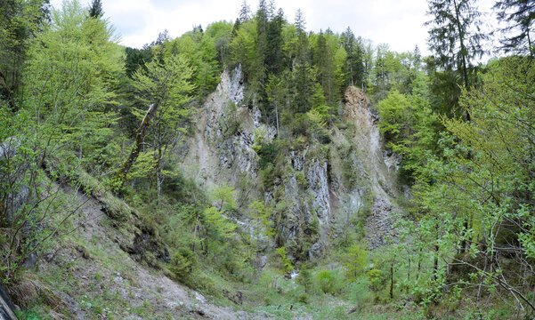 รูปภาพAchen เลือกดูภาพถ่ายสต็อก เวกเตอร์ และวิดีโอ1,278 Adobe Stock