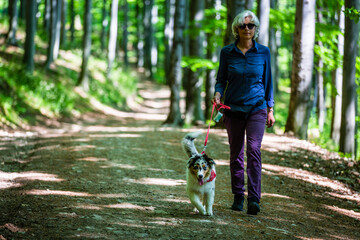 Naklejka na ściany i meble Woman and cute Australian Shepherd puppy on a walk in the woods.
