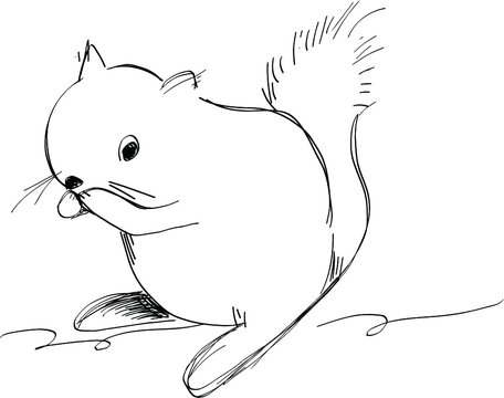 13 651 Best 小動物 Images Stock Photos Vectors Adobe Stock 13 651 Best 小動物 Images Stock Photos Vectors Adobe Stock