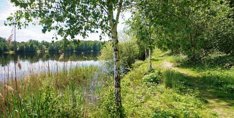 Waldsee