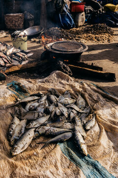 Fresh Fish At Local Market