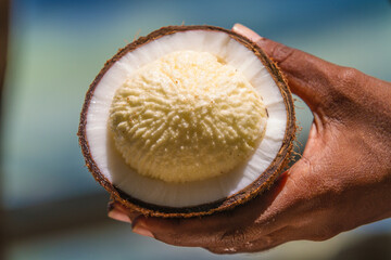 A split coconut reveals the growth inside. Delicious and very healthy to eat, this food is part of the islander's staple diet.