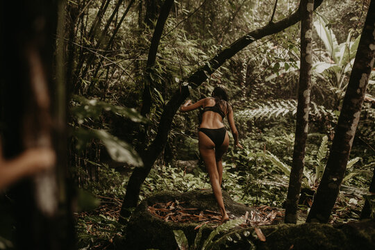 Back view of woman walking in jungle