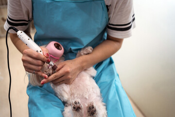 Crop veterinary groomer using grinder polishing pet nails in contemporary salon