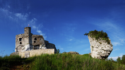 Szlak Orlich Gniazd-zamek w Mirowie