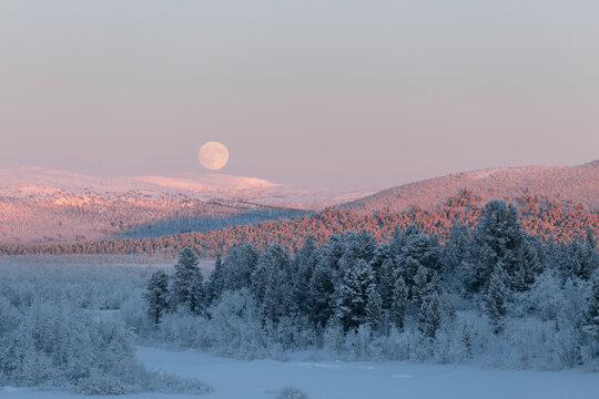 Forest on hills in snow and moon on sky