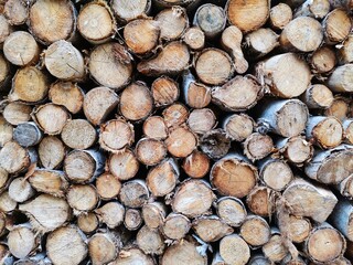 Woods in the woodshed. Rows of wood. firewood