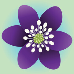 
One single purple flower with six petals and a green blue gradient background.