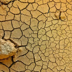 cracked ground background