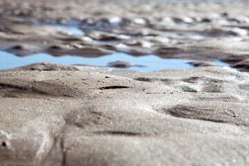 Sand Detail