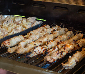 A Delicious Barbecue On The Grill. Picnic