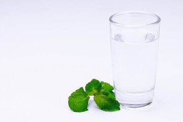 Glass with transparent alcohol liquid and mint leaves isolated on white background.