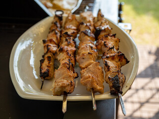 A Delicious Barbecue On The Grill. Picnic
