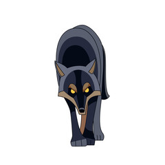 Black Wolf looks and walks straight for potential prey. Cartoon character of a dangerous mammal animal. A wild forest creature. Front view. Vector flat illustration isolated on a white background