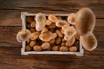 Fresh harvested potatoes falling down into a wooden box. Concept for organic raw food