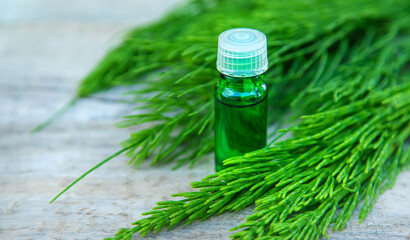 Horsetail extract in a small bottle. Selective focus.