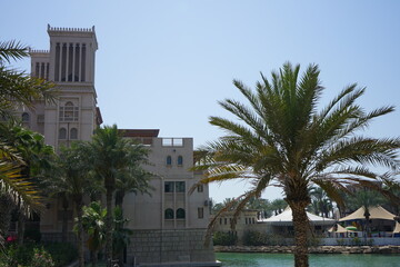 Landscape with palms and buildings in Dubai