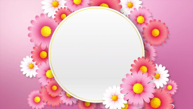 Abstract background animation of beautiful flower rotation and blooming, Blank frame and flower with copyspace over pink background for spring and summer vacation