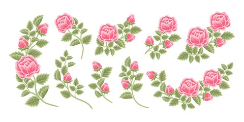 Hand drawn botanical rose flower arrangement, leaf branch vector illustrations and bouquet element collection