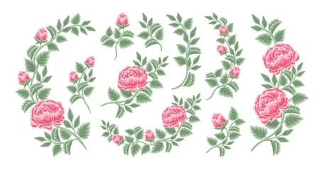 Fototapete Rund Hand drawn botanical peony and rose flower arrangement, leaf branch vector illustrations and bouquet element collection © Artflorara