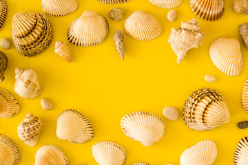 Frame with seashells and copy space,flat layout,top view