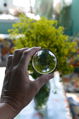hands holding a glass of water