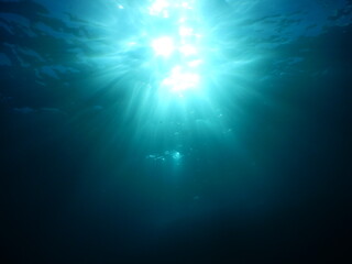 Fototapeta na wymiar 伊豆の海でダイビング中に水中から覗いたキラキラ眩しい陽射しの水面