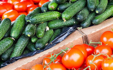 Ripe tomatoes and cucumbers on the counter in a grocery store. High quality photo