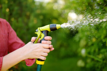 Woman gardener watering plants with hose with sprinkler in sunny backyard. Gardening. Seasonal work in garden. Close-up picture of hands and spray gun. - obrazy, fototapety, plakaty