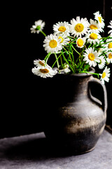 Still life of daisies. Retro composition 