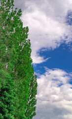 Fototapeta premium The beauty of the Ukrainian sky.