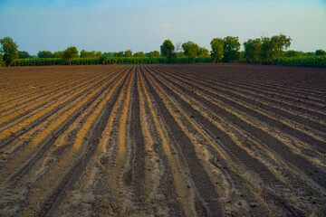 Fototapeta premium Plowed field. Agriculture, soil before sowing. Fertile land texture, rural field landscape.