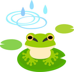 葉に座るアマガエルと雨粒