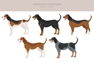 American foxhound all colours clipart. Different coat colors set.