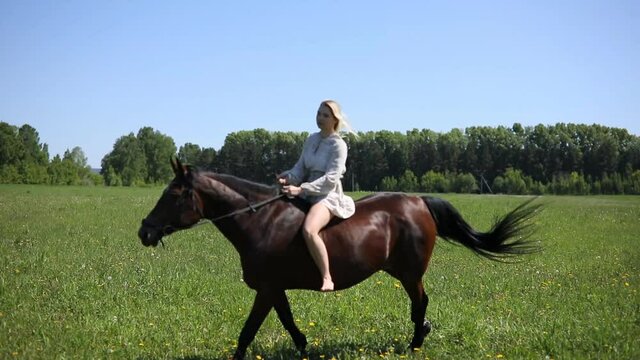 A young rider woman blonde with long hair in a dress riding gallop on brown horse on a field and forest background, Siberia, Russia