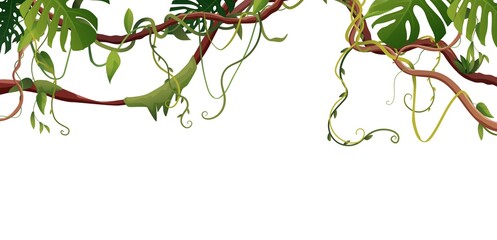 Liana or vine winding branches with tropic leaves background. Cartoon vector illustration. Jungle tropical climbing plants.