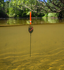 a fishing float sits upright in a forest stream