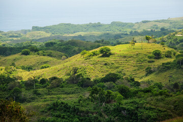 Fototapeta na wymiar Beautiful green slopes on the island of Nusa Penida